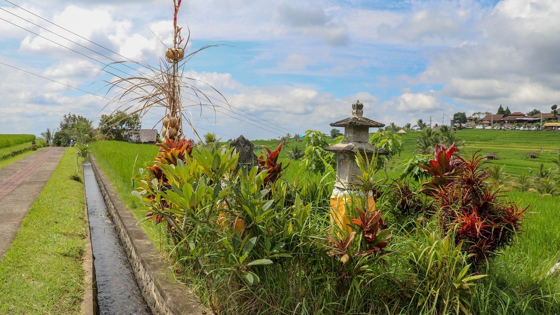 Subak Warisan Budaya Dunia Di Pulau Dewata Atourin Blog