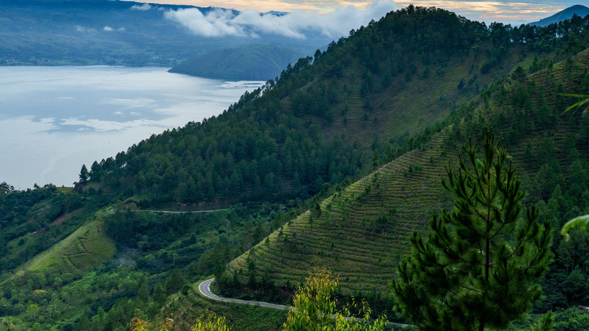 Bukit Sibea-Bea, Keindahan Alam Viral Sumatera Utara Selain Danau Toba ...