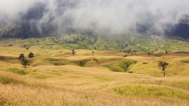 Torean, Jalur Pendakian Rinjani Yang Eksotis Nan Indah | Atourin Blog