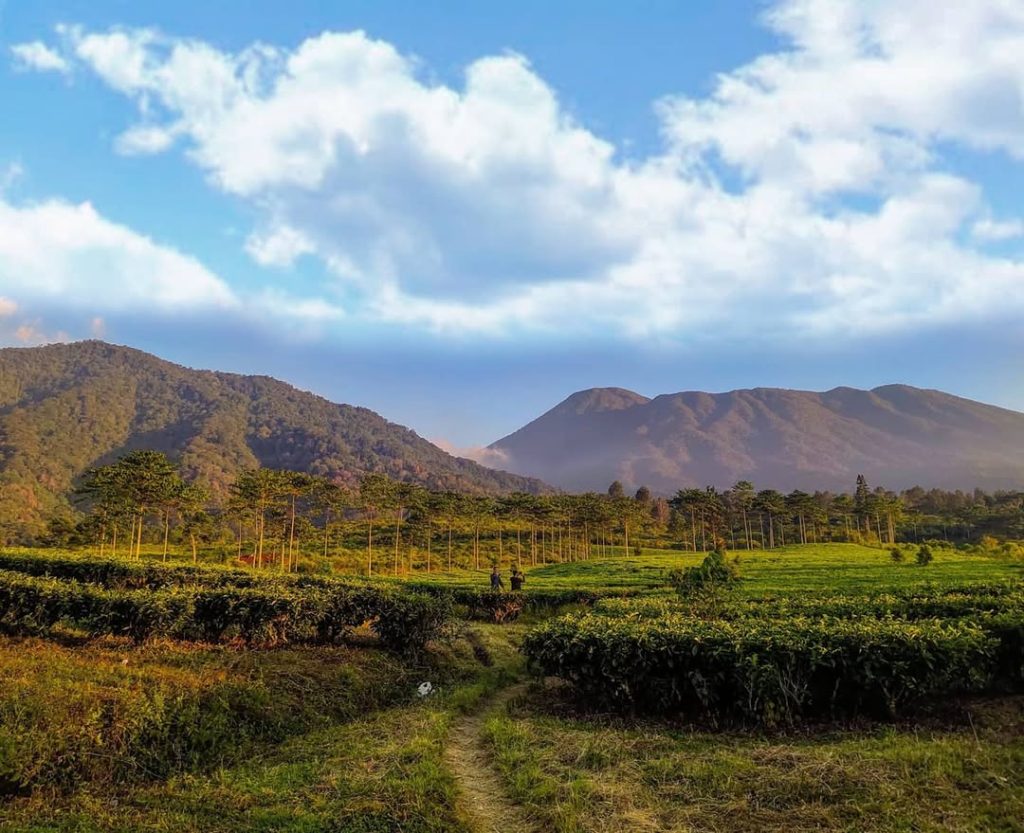 Desa Wisata Tugu Selatan