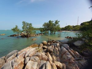 Desa Wisata Pangke Barat