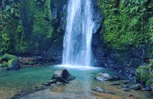 Desa Wisata Kedisan