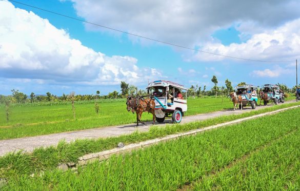 Kenapa Desa Wisata Hijau Bilebante Bisa Jadi Juara Nasional WIA 2025? Ini Jawabannya!