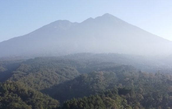 Nama Jawa Timur Menguat Lewat Desa Wisata Bumi Asri Sumberdem di WIA 2025